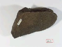 鯨骨藏品圖，第2張